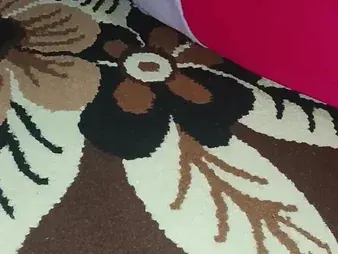 Indian Bhabhi gets her good-sized bootie gobbled in Desi BBM vid